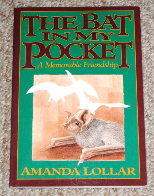 bat-in-my-pocket